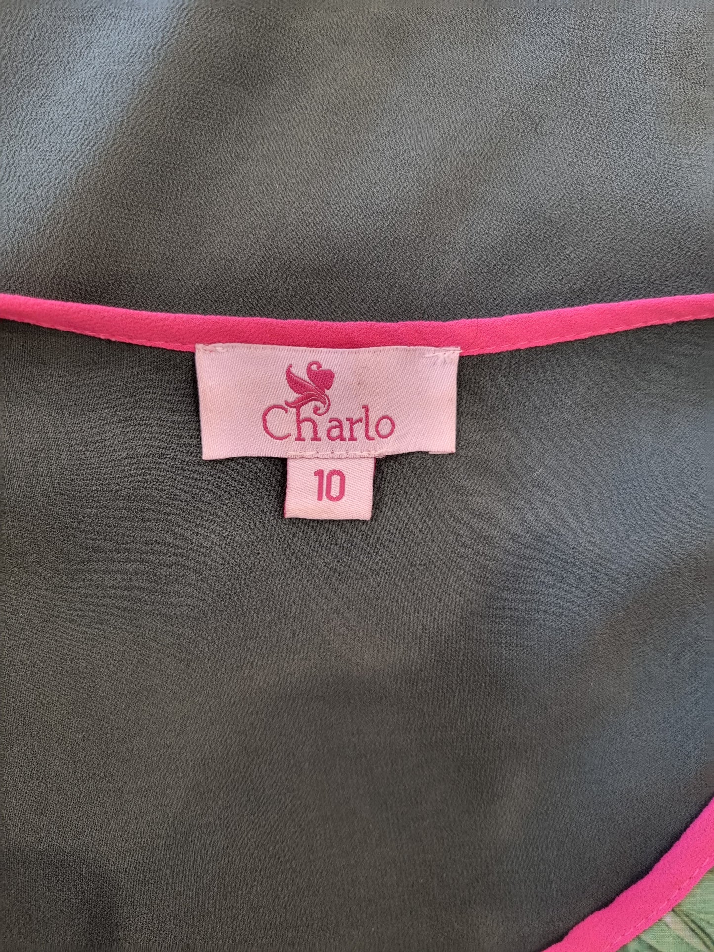 Charlo Top - Size 10
