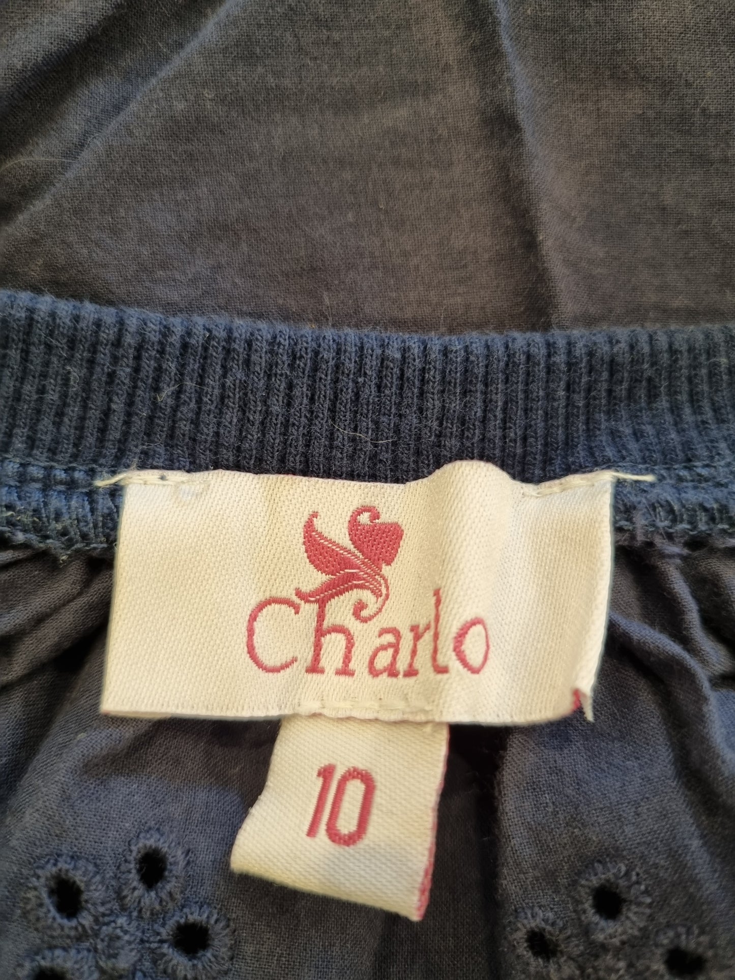 Charlo Top - Size 10