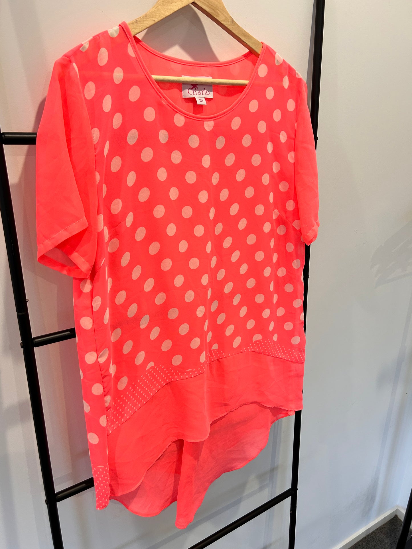 Charlo Top - Size 12