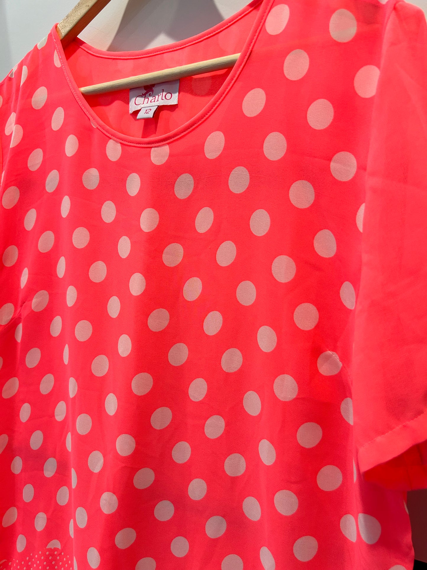 Charlo Top - Size 12