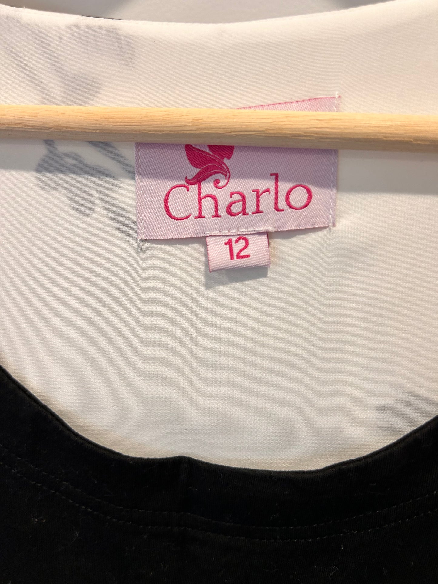Charlo Top - Size 12