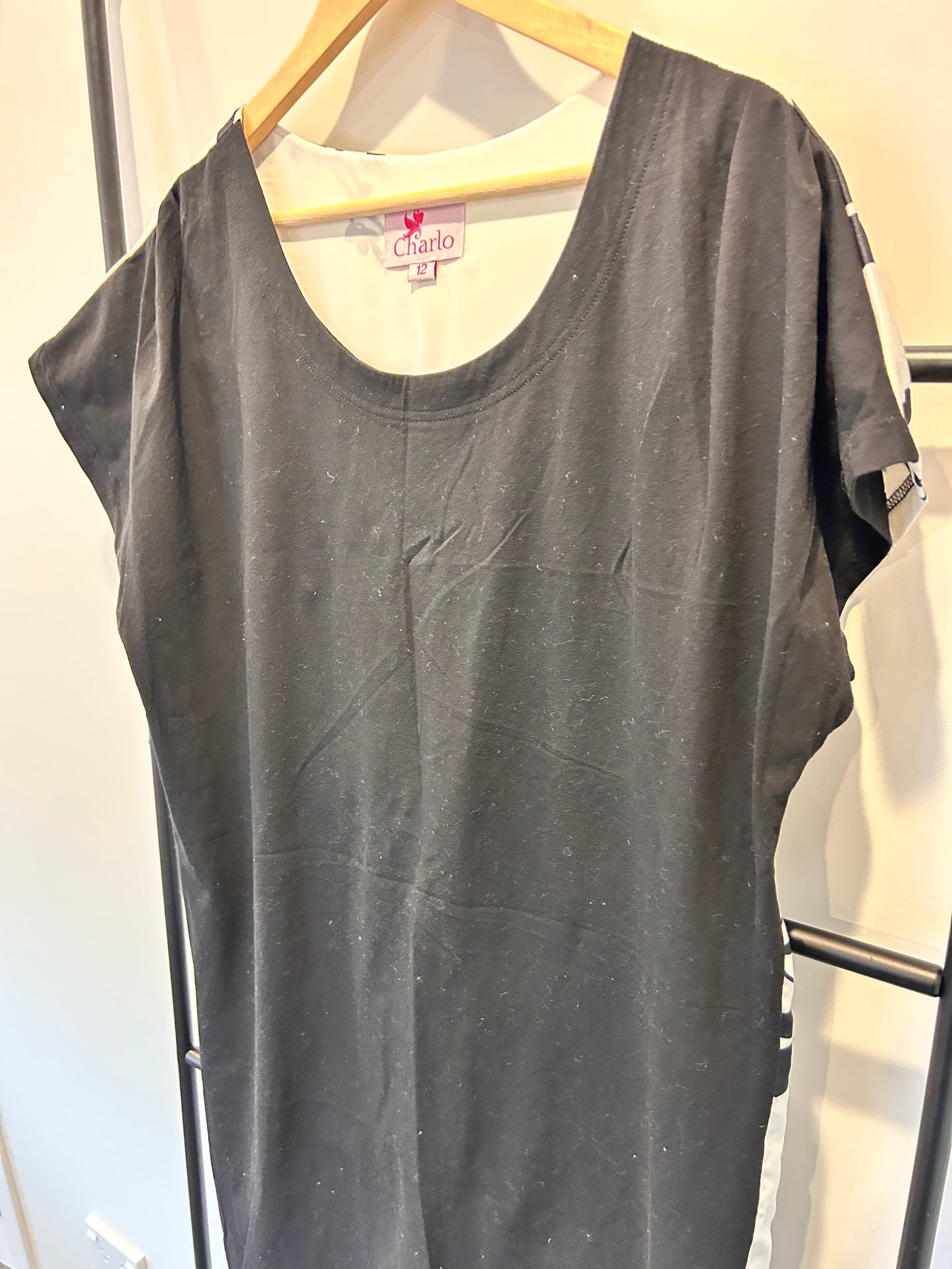 Charlo Top - Size 12