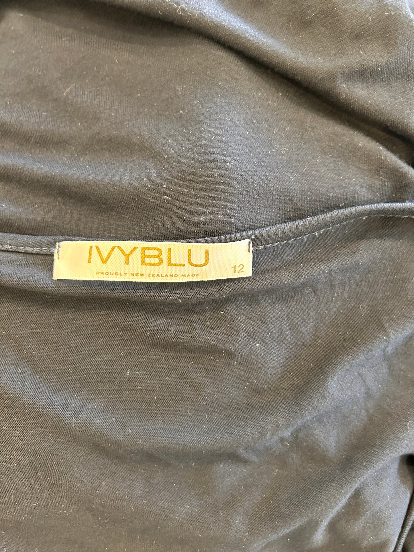 IvyBlu Top - Size 12